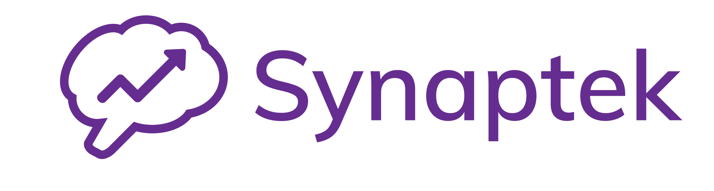 synaptek.md logo